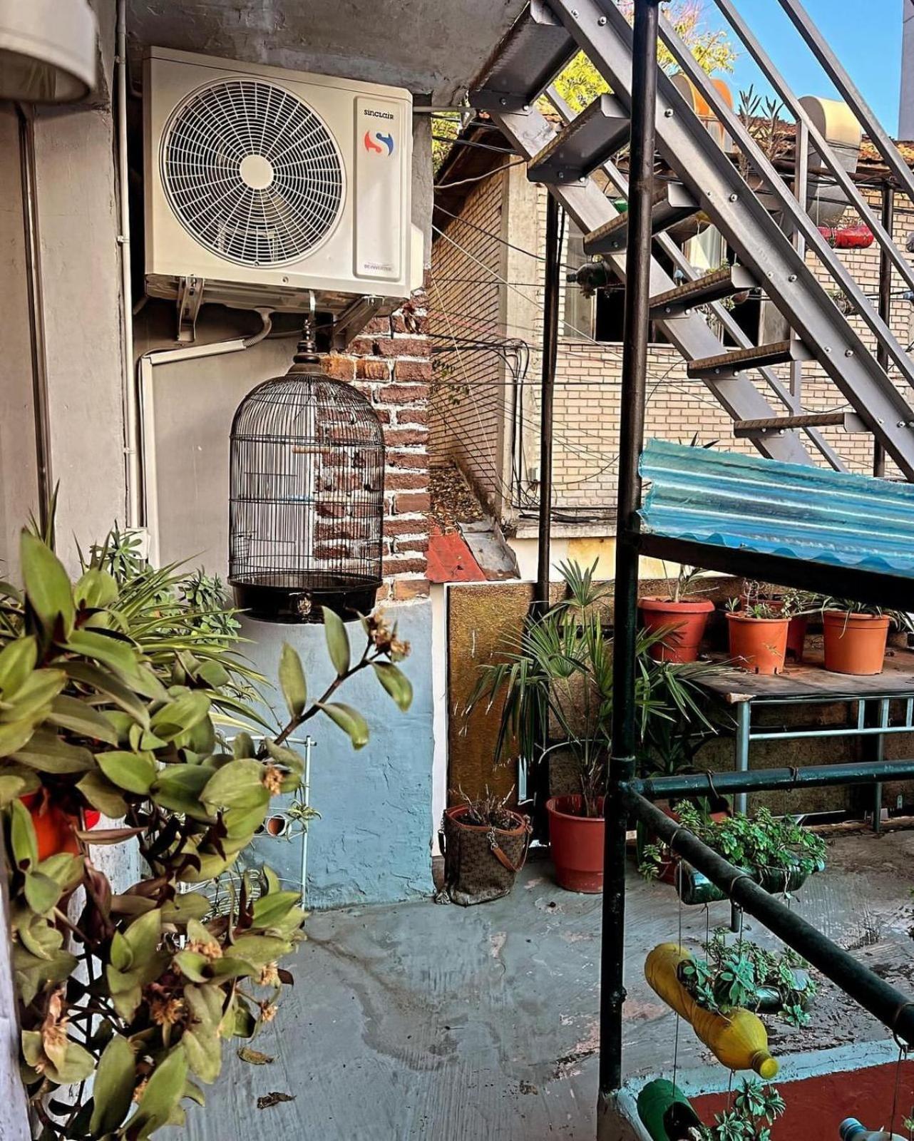 טיראנה Hoja Hostel מראה חיצוני תמונה